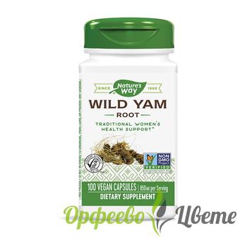 ХРАНИТЕЛНИ ДОБАВКИ Женско здраве Wild Yam Root/ Див Ям (корен) 425 mg x 100 капсули